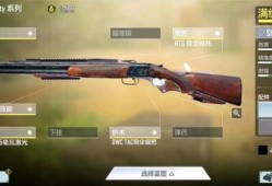 使命召唤最新爆料新枪,神秘新枪震撼登场，性能解析与实战前瞻